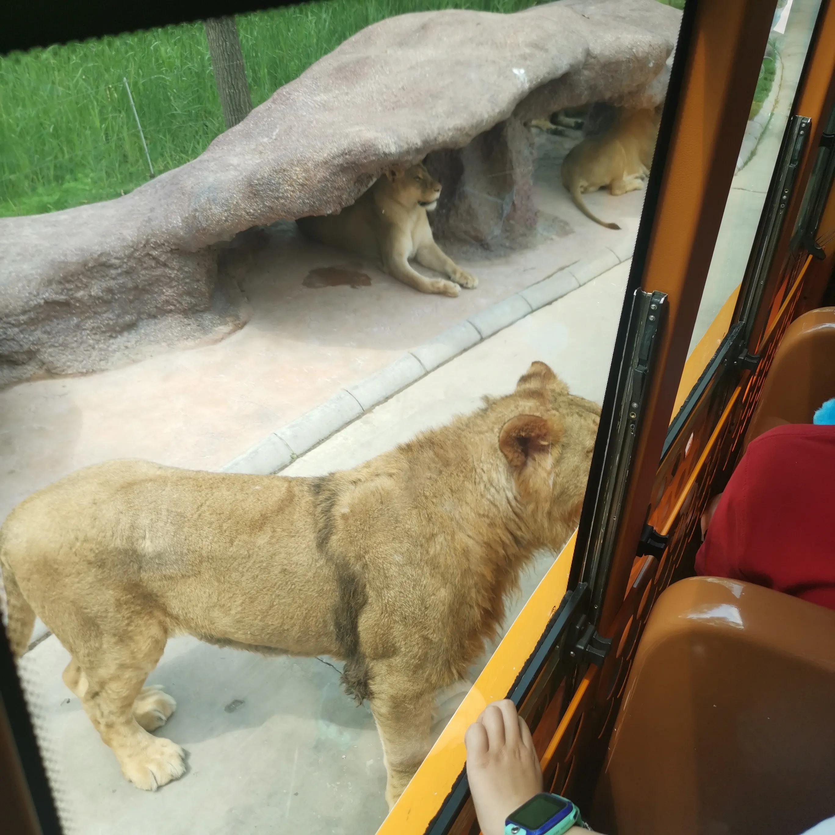 闰土的猹的梗,猹与闰土段子