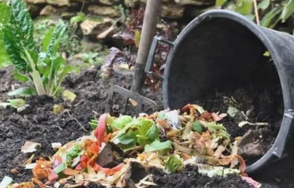 养花的旧土怎样培植成营养土,怎样培育肥沃的养花土
