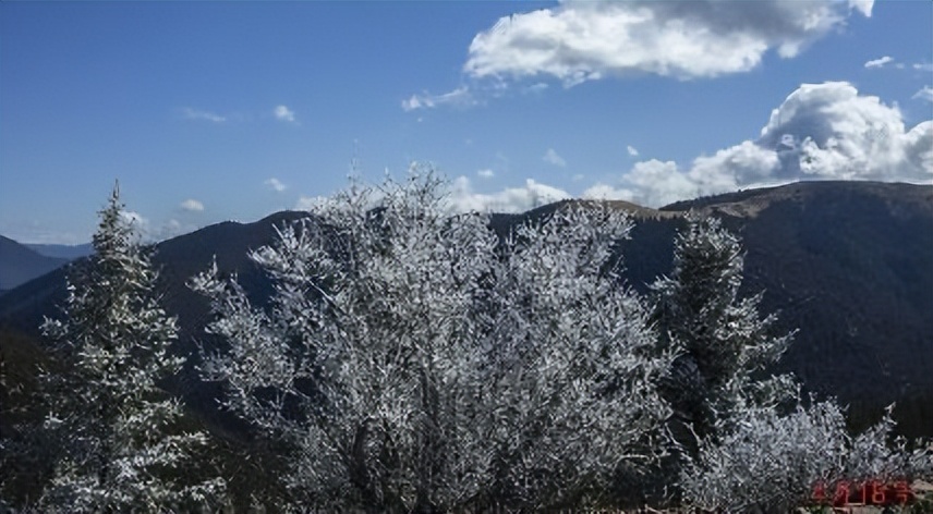 作家林茂森长篇游记《川西朝圣纪行》