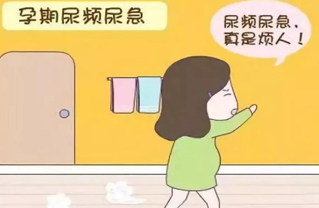 为什么尿路感染“偏爱”女性呢？