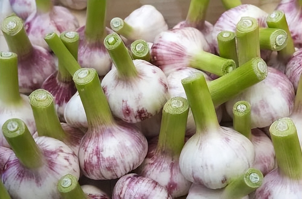 长期吃大蒜对身体有哪些好处,女人经常吃大蒜对身体有什么好处