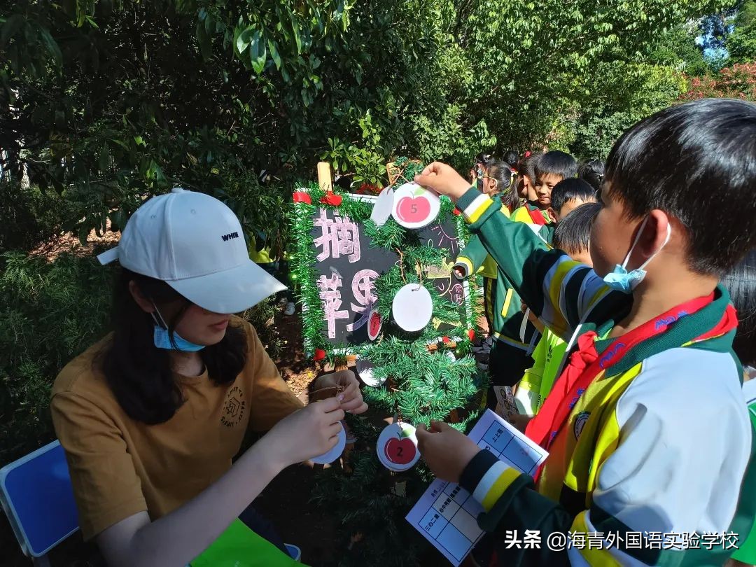 鏁板绱犲吇澶ц禌闈掑矝,瓒ｅ懗鏁板鐭ヨ瘑绔炶禌娲诲姩