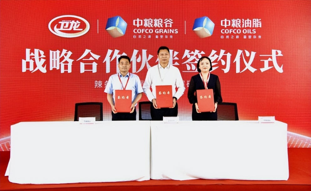 卫龙休闲零食辣条香辣魔芋爽,卫龙食品质量过关吗