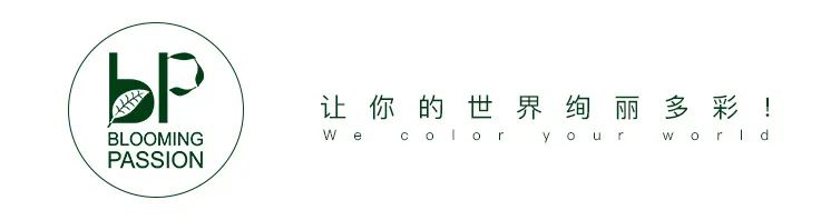 回家过年植物没人浇水怎么办,放假回家植物怎么办