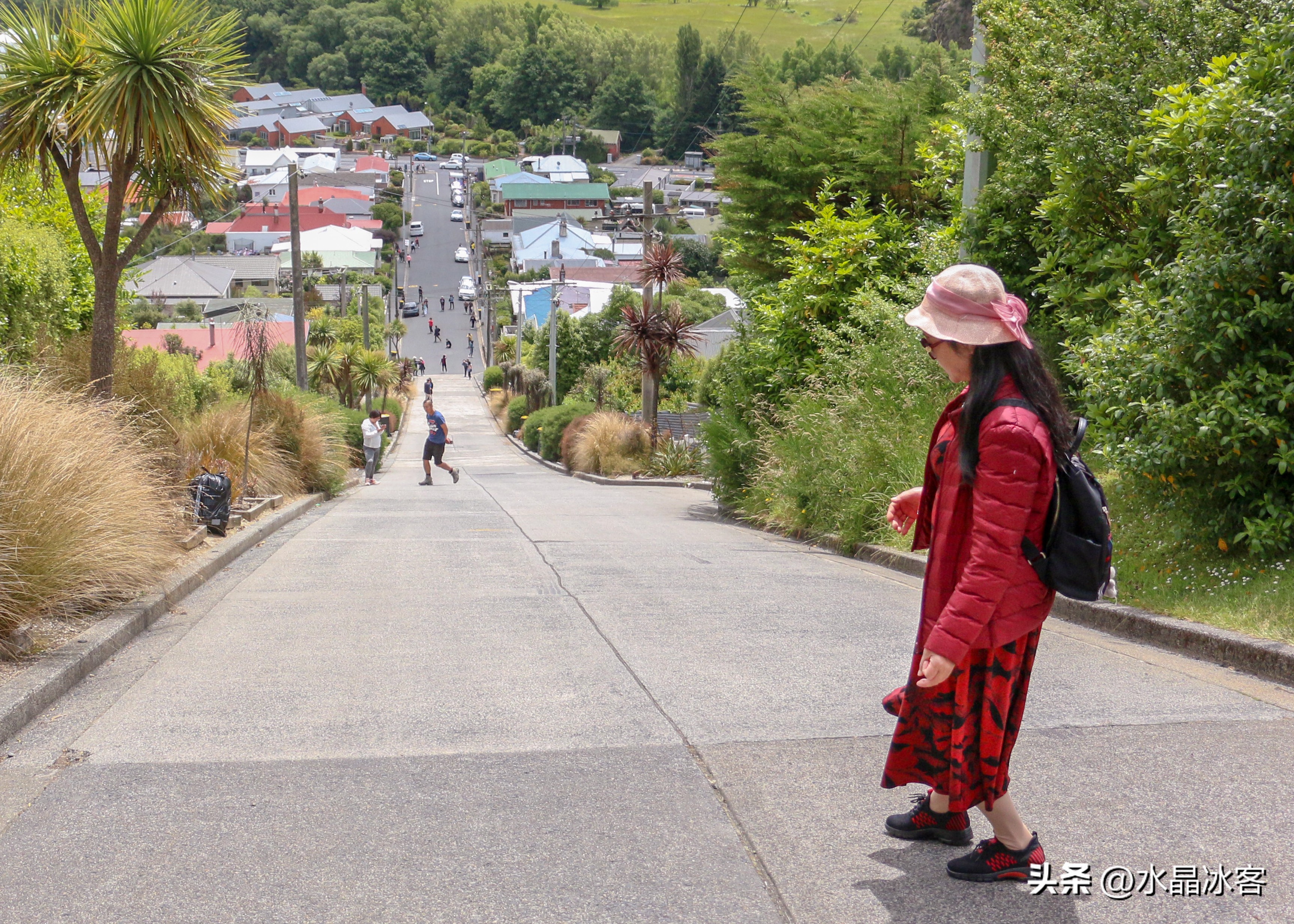 南岛新西兰之旅,新西兰之南岛