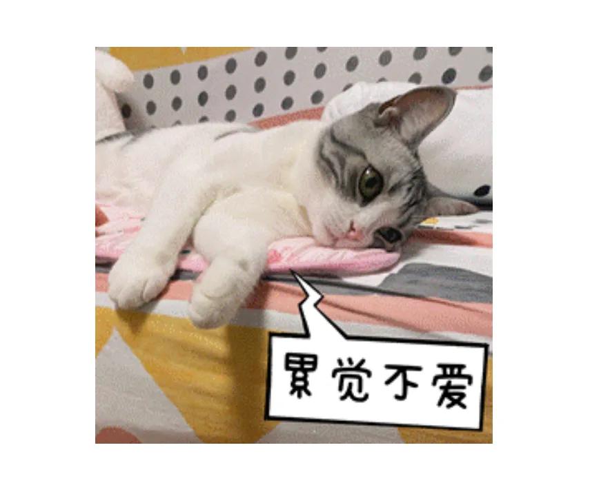 女生做程序员真实感受,什么样的女生适合做程序员