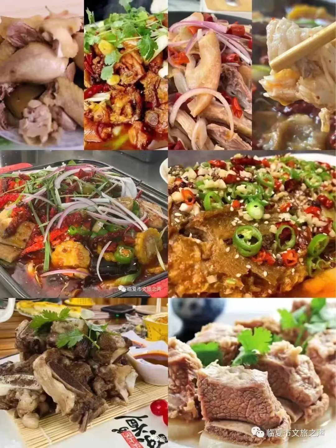 提到贵州你的第一印象是什么,提到甘肃的第一印象是什么