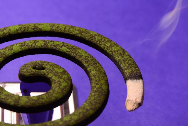 室内蚊子太多怎么驱赶蚊子呢,家里蚊子太多教你一招搞定蚊子