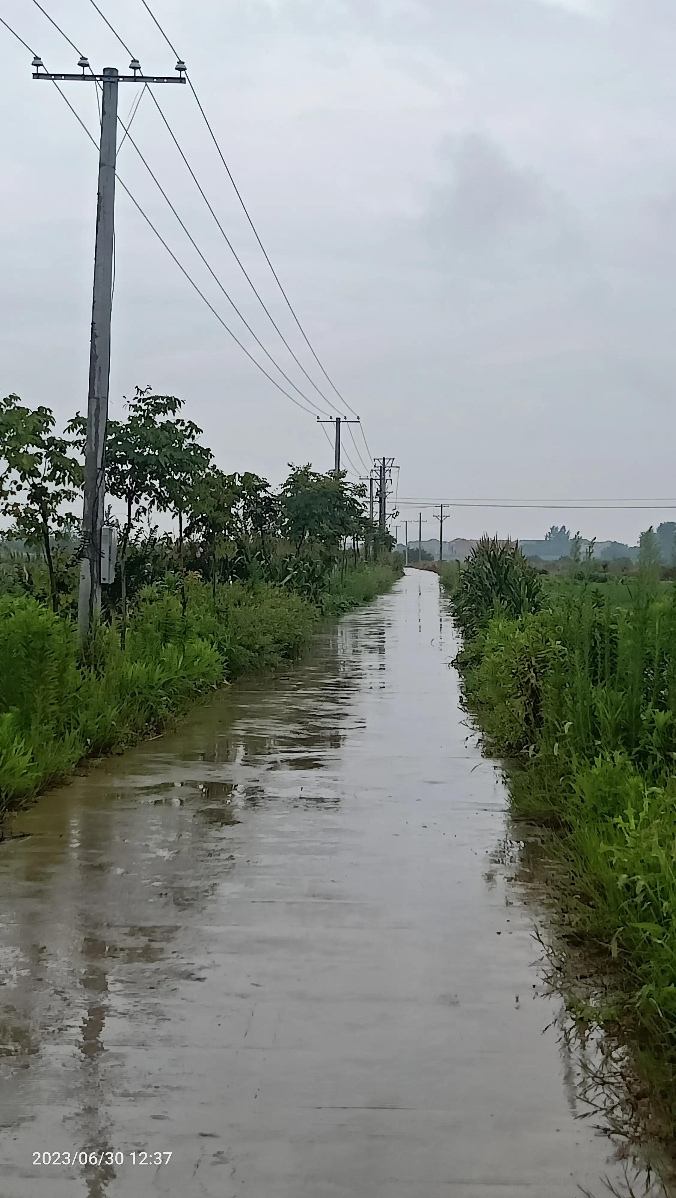 沌口海尔工业园叉车,武汉市蔡甸区东荆河路海尔工业园