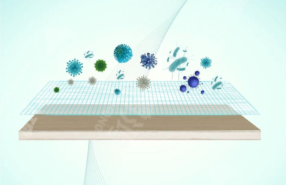 世界杯8强哪些是欧洲球队,世界杯8强可能有谁