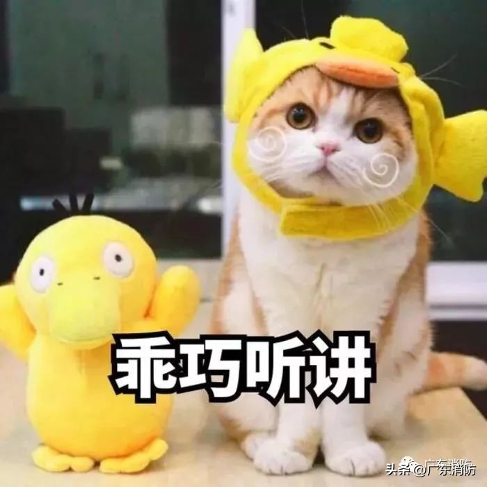 客机空中起火安全落地,航班起飞后起火185名乘客逃过一劫