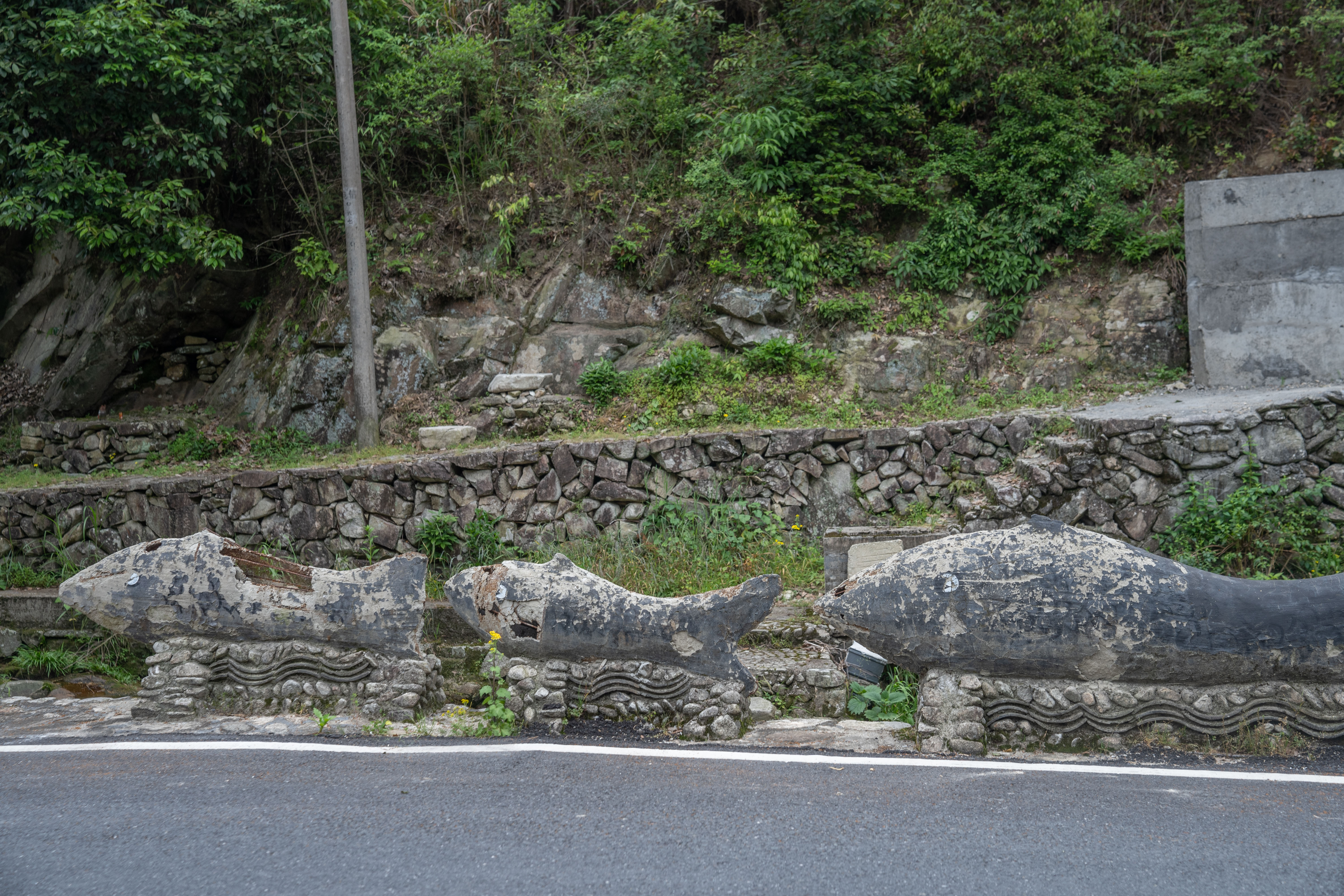 衢州哪里的鱼最好吃,衢州吃清水鱼最好的地方