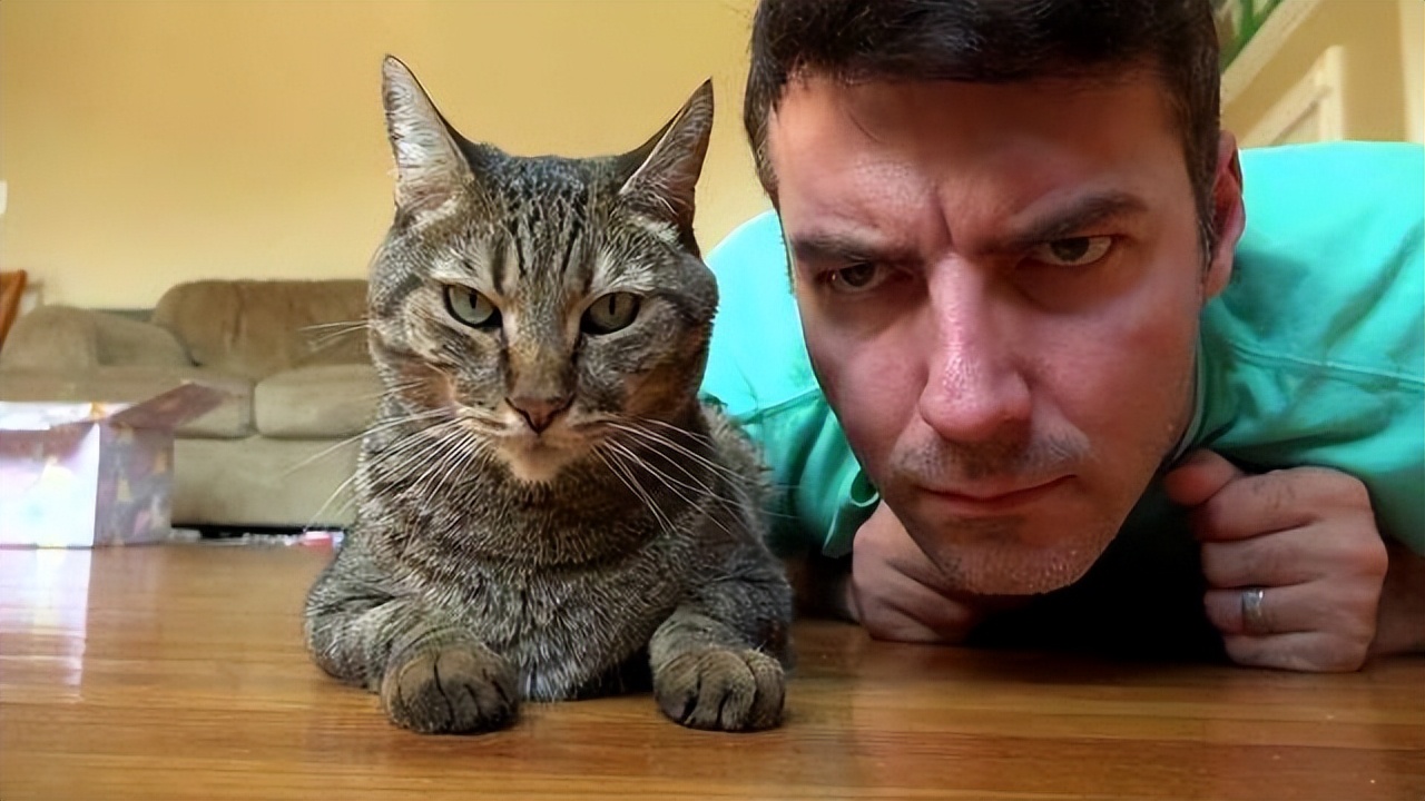 养猫咪可以降低多种疾病的发病率,听说养猫咪久了会有这9种病