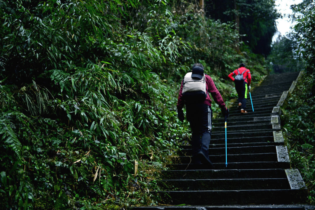 冲！跑山去！2023峨眉山越野挑战赛报名通道全面开启