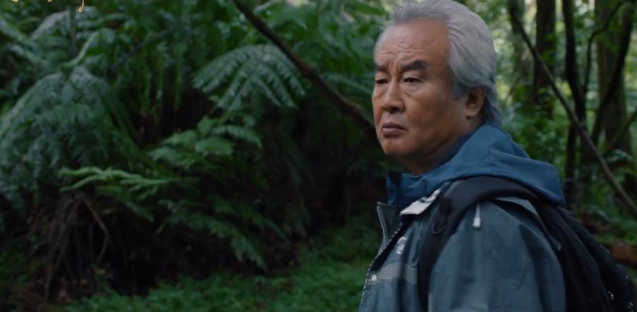 这部涂们老师的遗作,看尽宝岛美丽风光,明年看好争夺金鸡奖