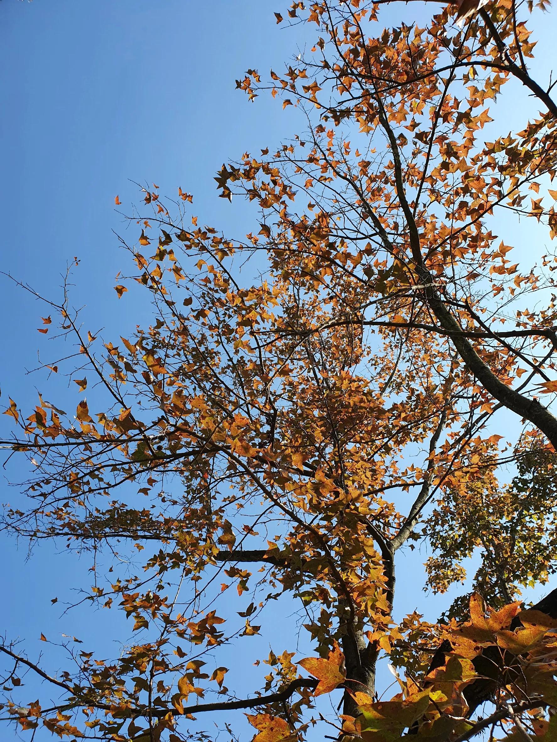 如何轻松游玩丹霞山旅游全攻略,丹霞旅游攻略最新