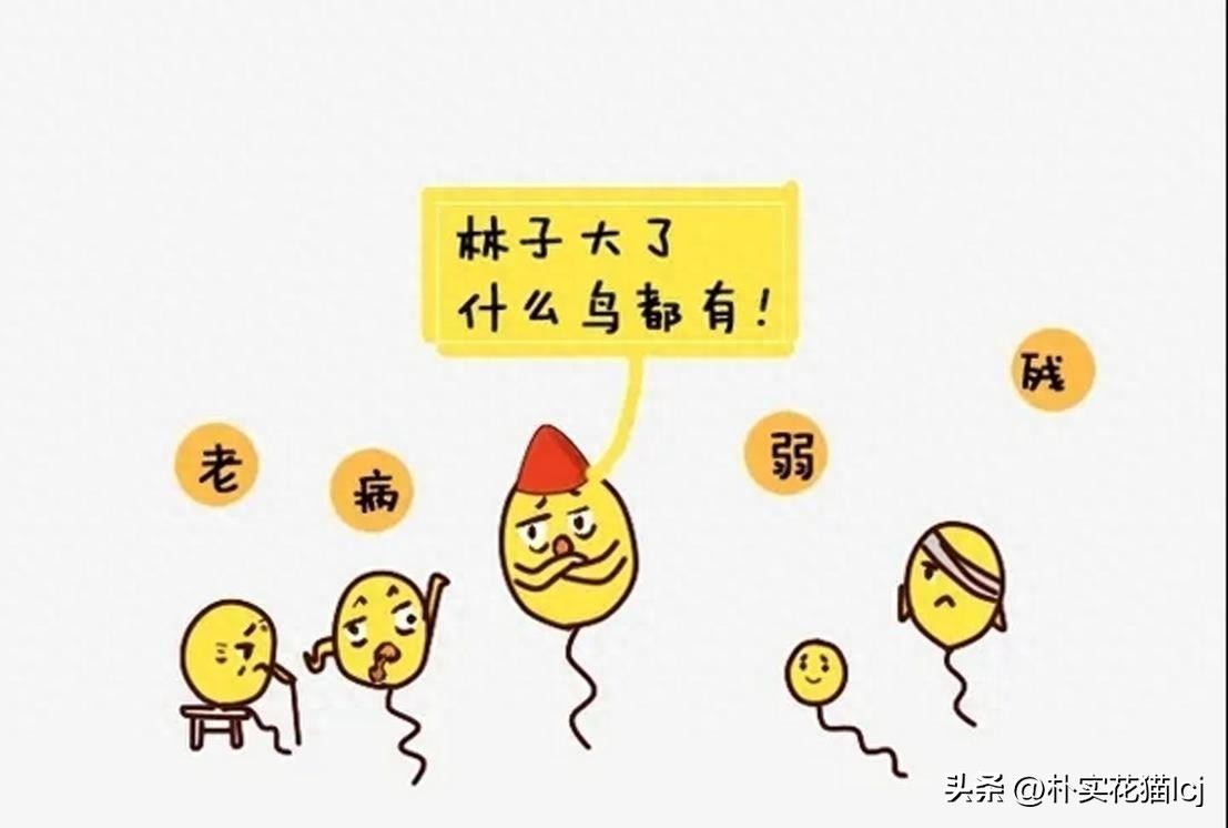 精子受孕未成功后去哪了,没有成功受孕的精子都去哪里了