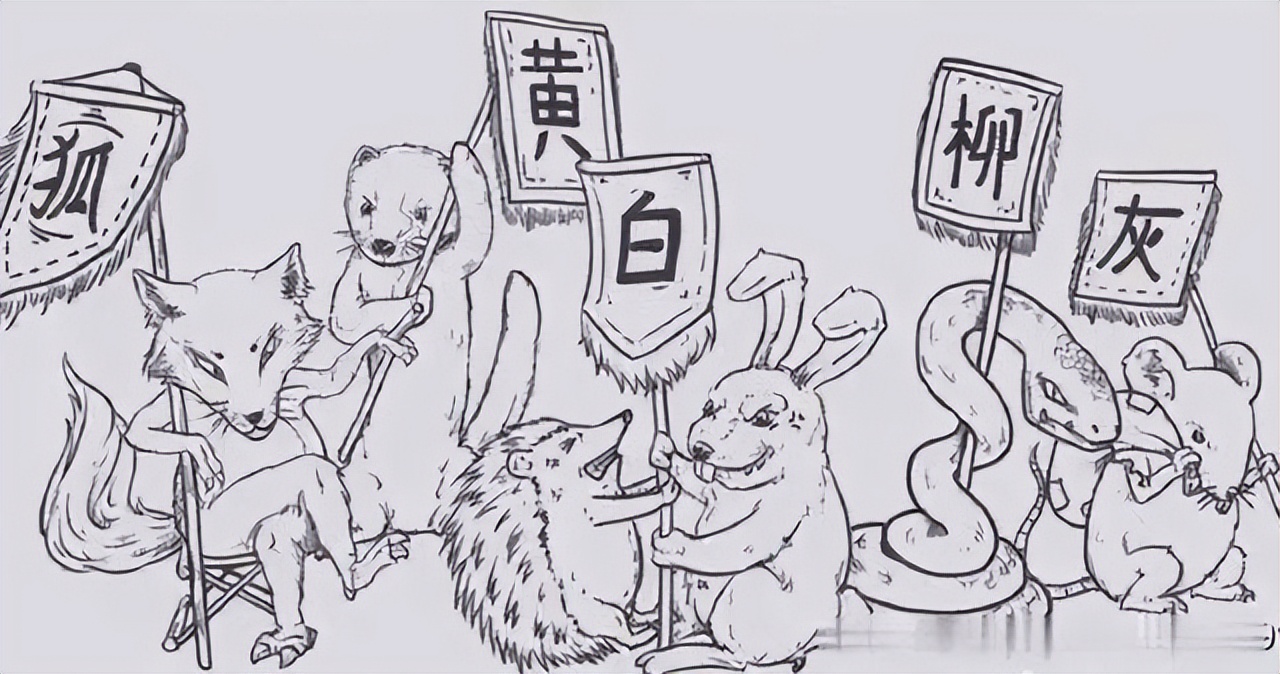 家里进蛇怎么办蛇怕什么,家里连续进了5次蛇