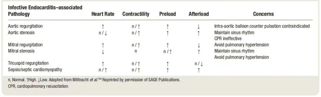 麻醉学相关介绍,麻醉学要点综合版