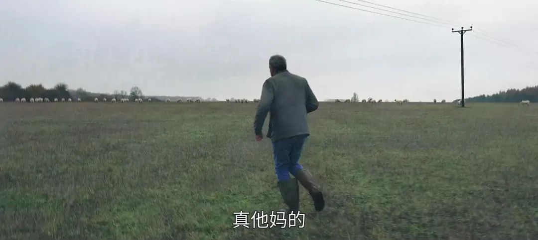 养猪养狗种田真人秀,真人秀十个男生种田