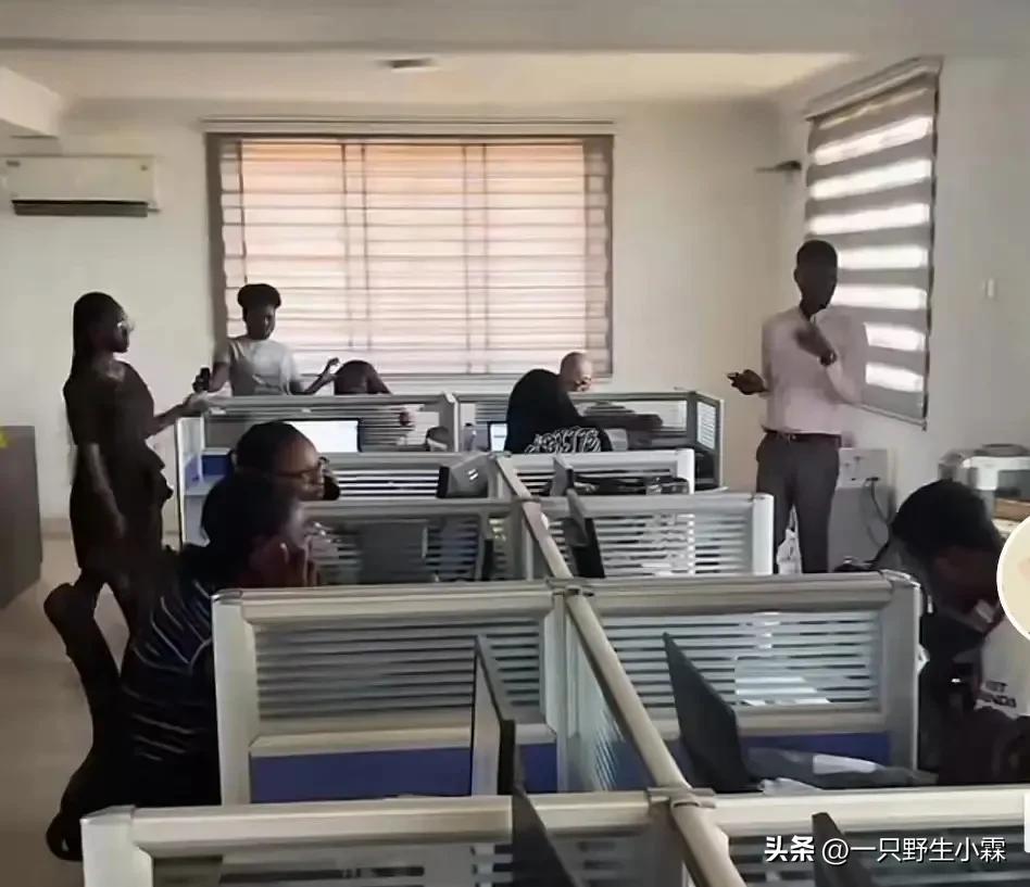 我90后,大学休学,意外到非洲年赚100万,如今开公司人生开挂了