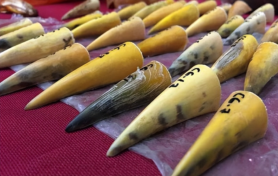 买饰品后被判刑,昆明一女子购买吊坠被判十年