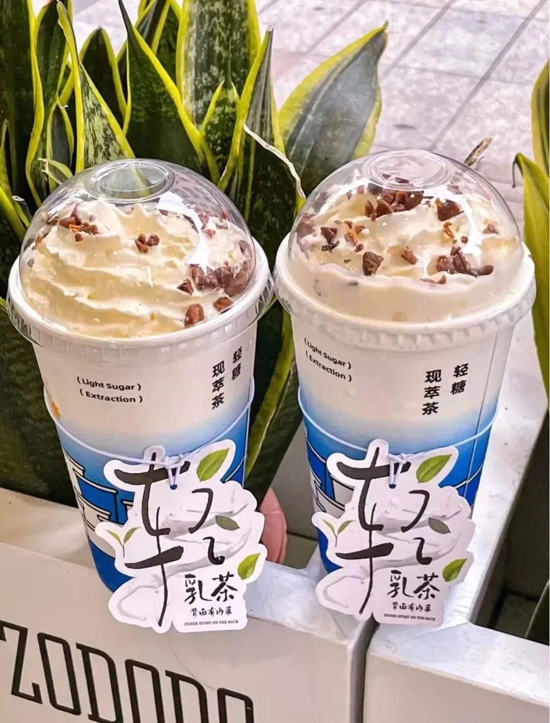 春季特色茶饮,春季茶饮推荐