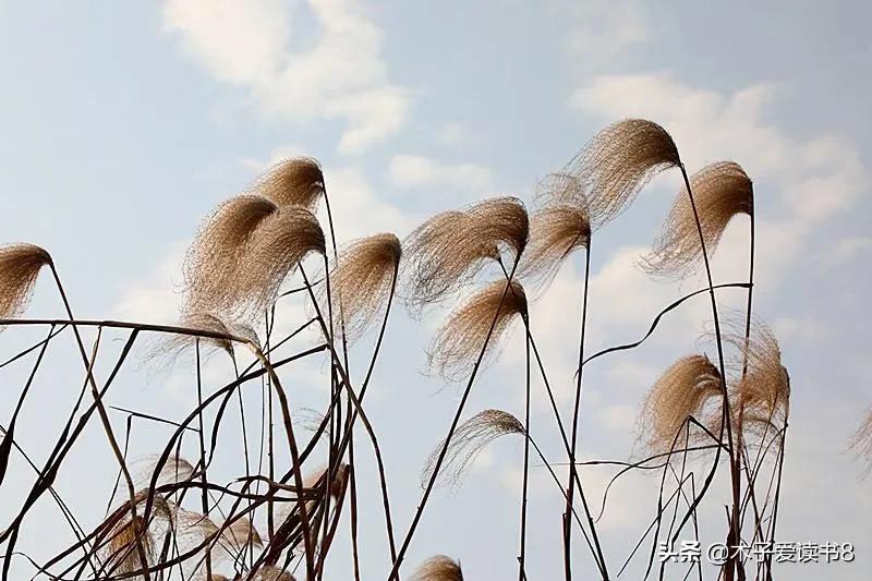 四年级下册第六单元的知识整理,四年级语文上册第六单元小结