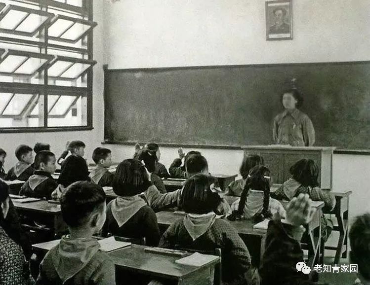 50年代的少年,50年代的人成长经历