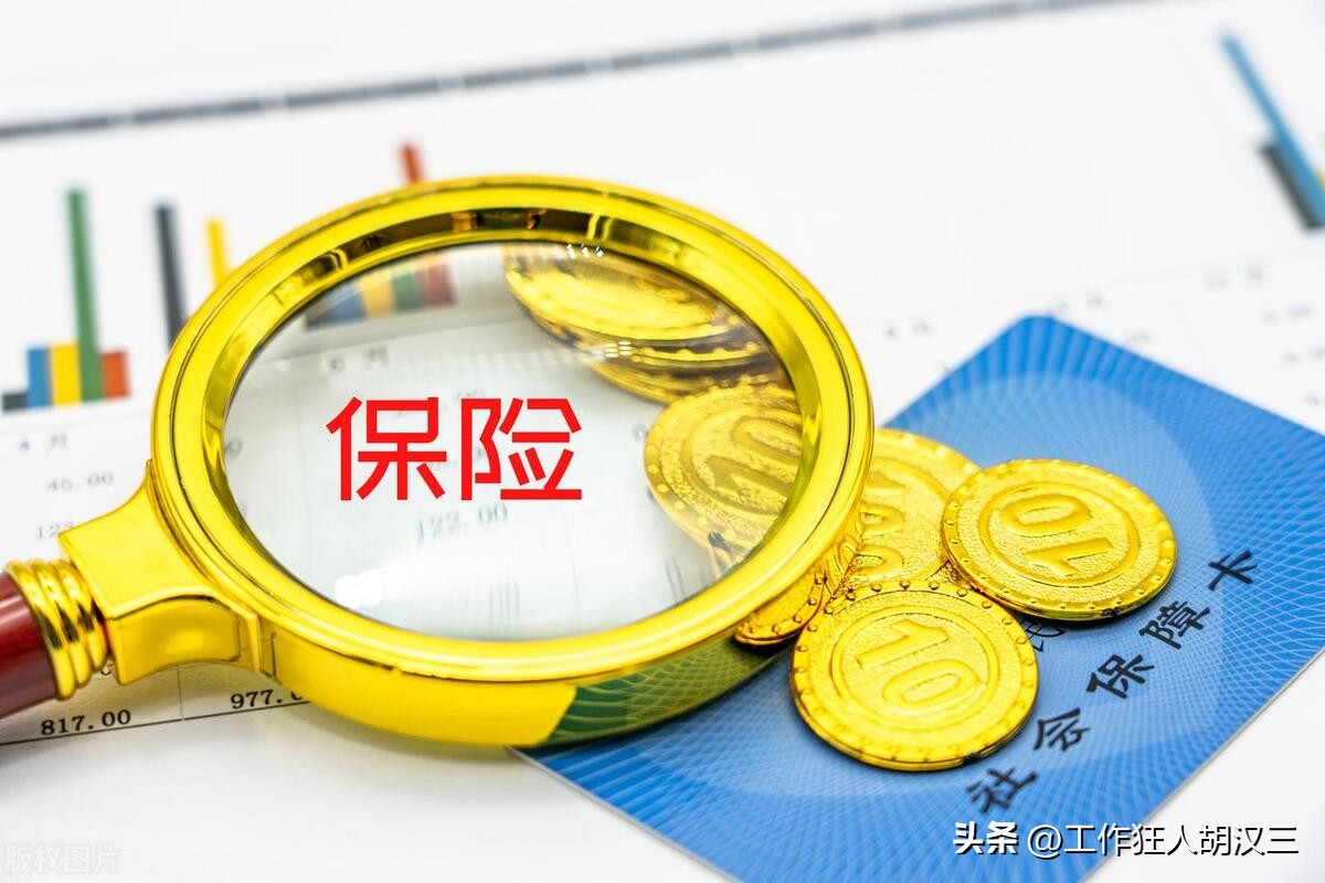 自己养的狗咬了自己亲人怎么办,养狗咬了人怎么赔偿