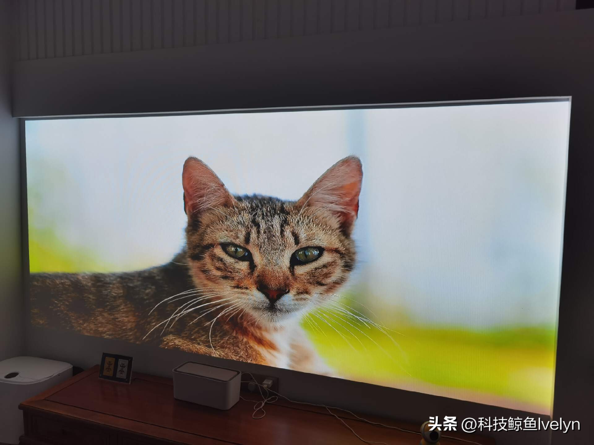 aoc投影仪k1s帝瓦雷,帝瓦雷k1s