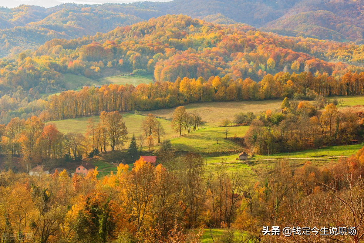 职场中不受领导关注怎么破局,职场如何不被领导欺负
