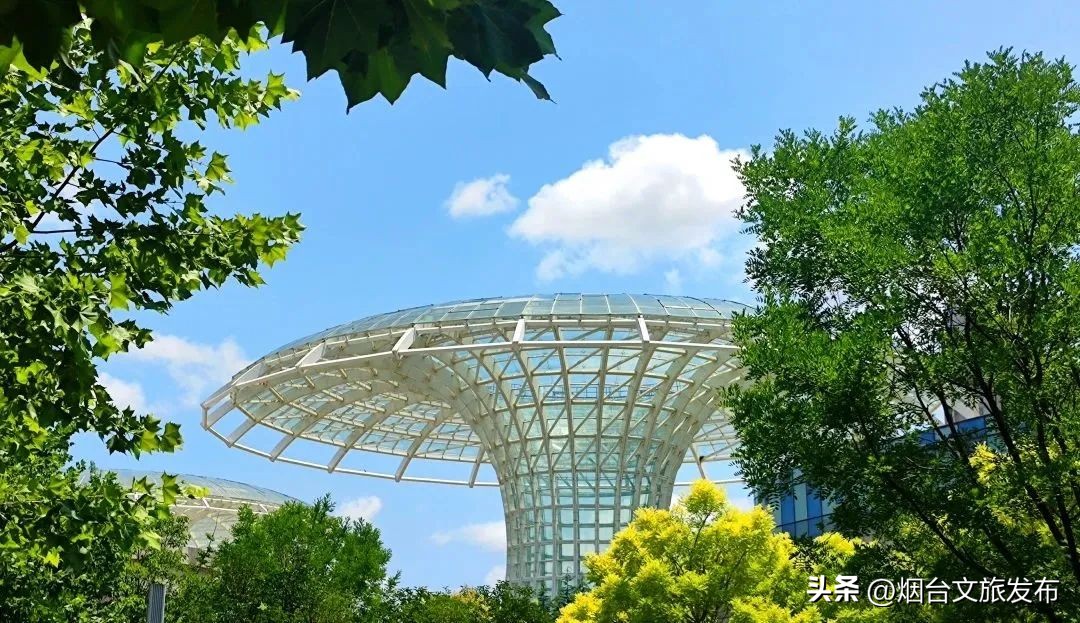 吃遍烟台玩遍美景,带你玩遍烟台