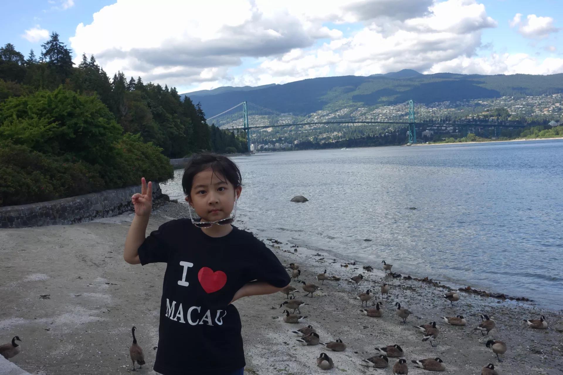 青岛如何带上猫猫去加拿大多伦多,钱猫猫加拿大之旅