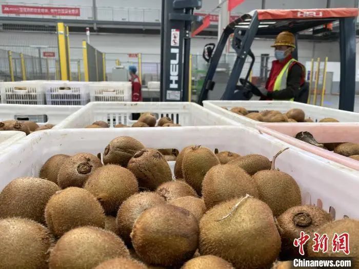 熬夜看世界杯的最佳休息方式,世界杯熬夜看球必备