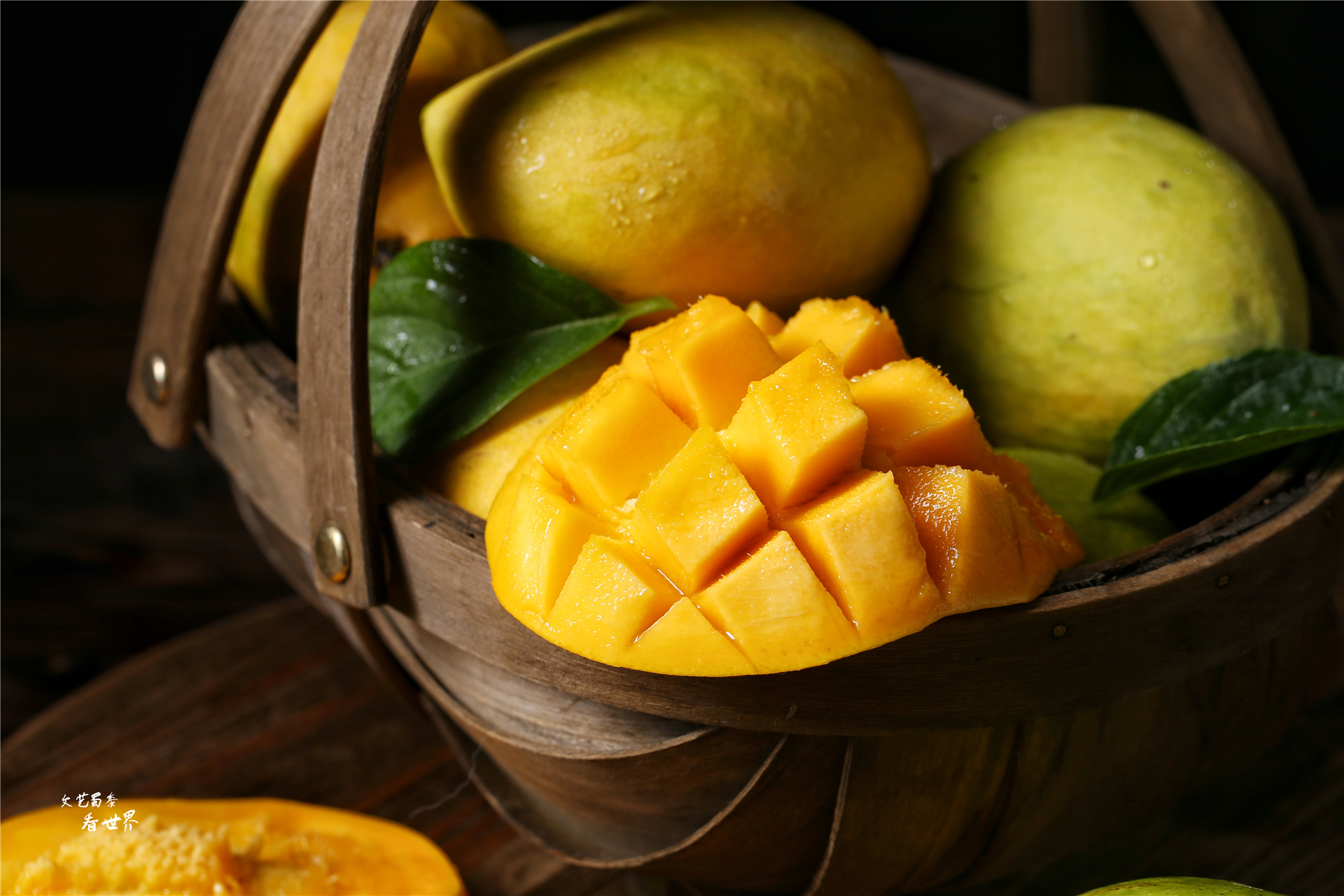 三亚和乐东哪个适合居住,海南乐东有发展吗