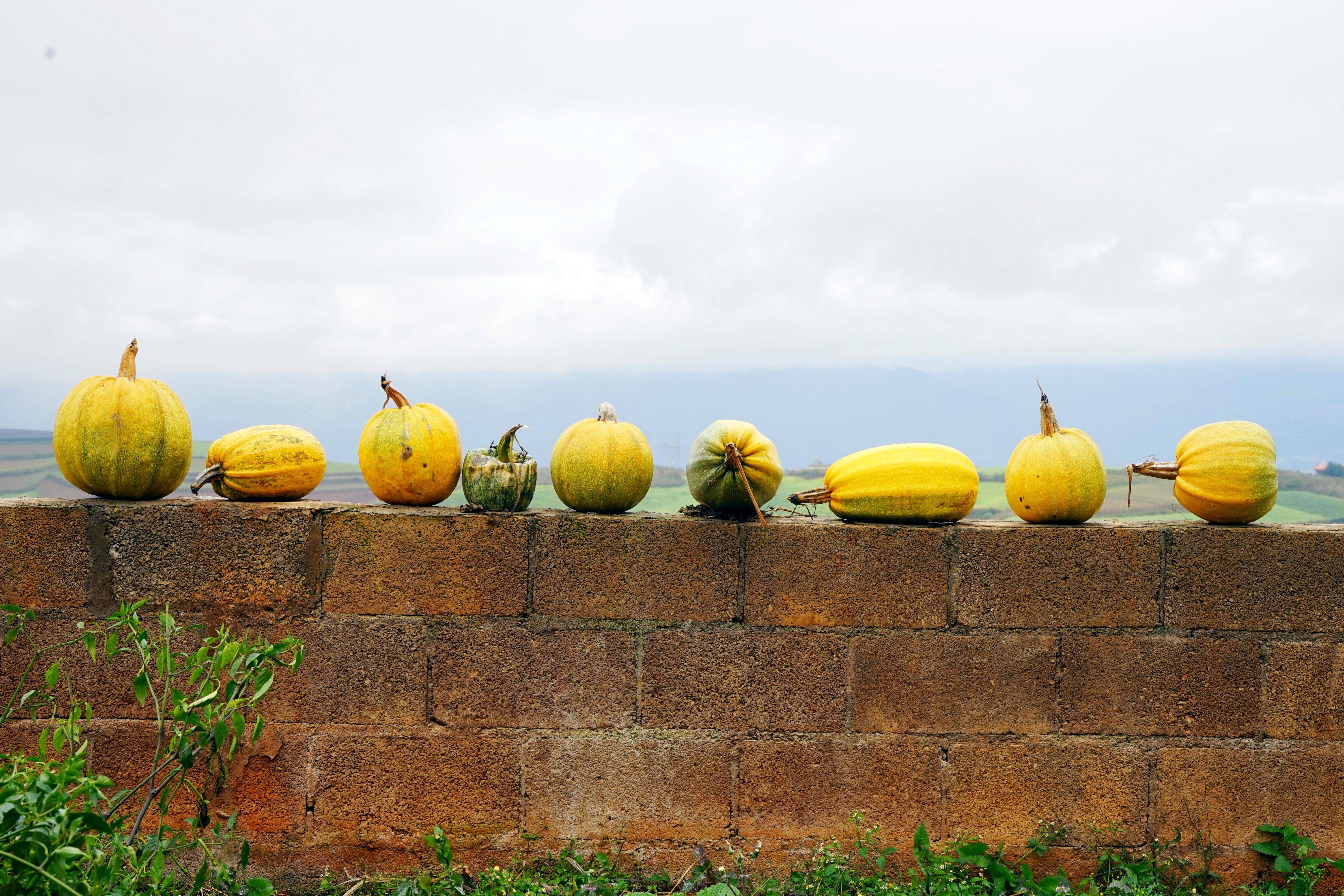 东川风景调色板,云南东川红土地上帝打翻了调色盘