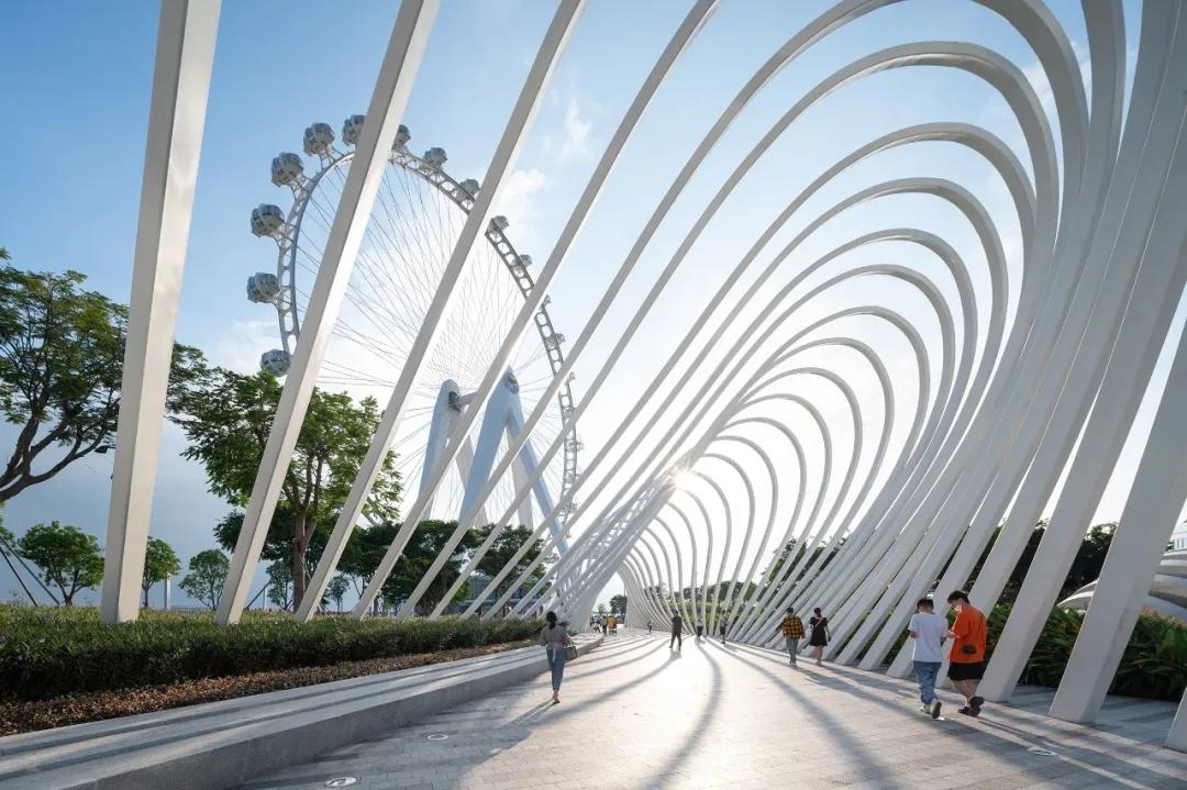 swa娣卞湷椤圭洰,swa娣卞湷