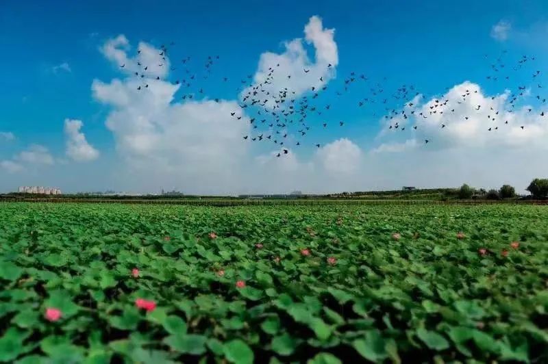 清凉玩水畅享暑夏亲子游玩好去处,暑假凉快好玩儿的风景区
