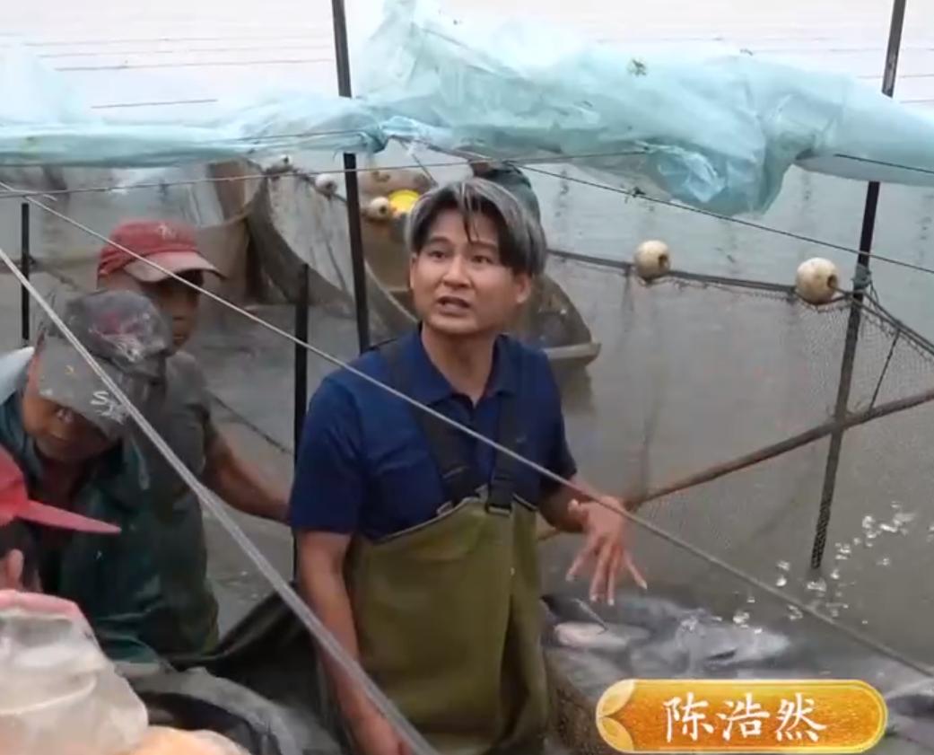 养殖罗非鱼一年赚500万,凤台县大棚养殖罗非鱼