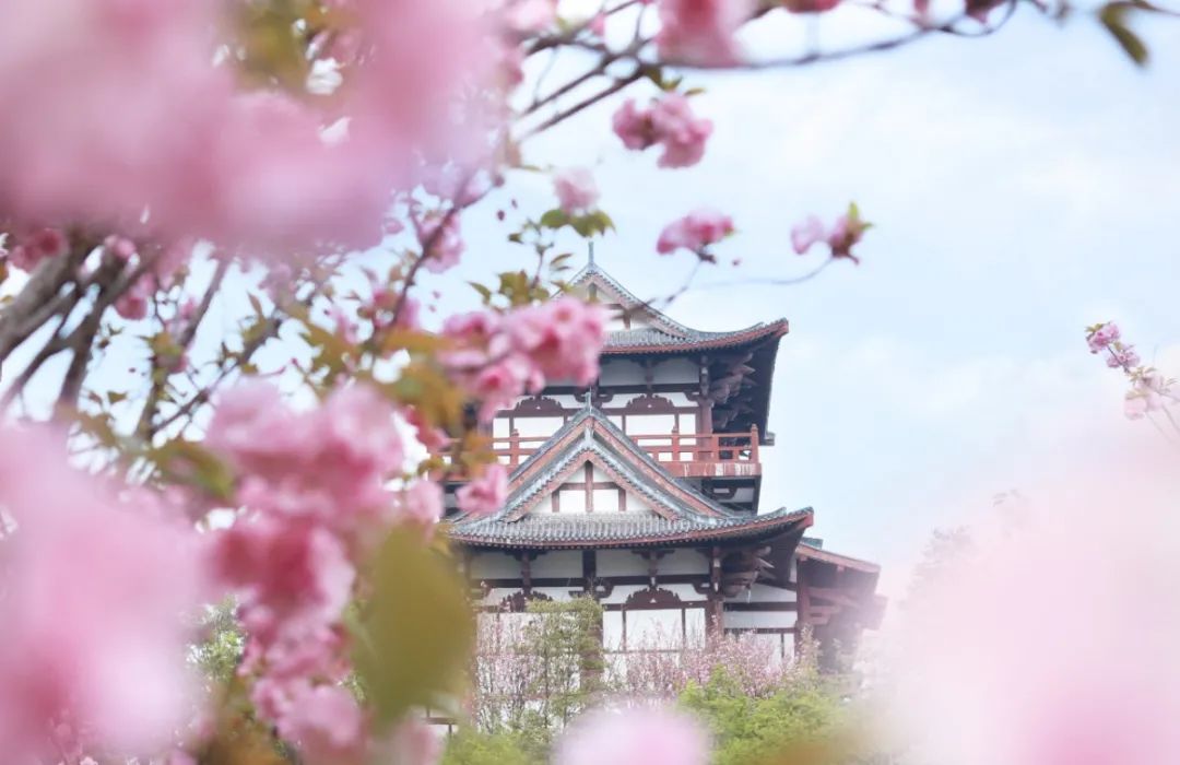 港剧那些年追过的剧,好港