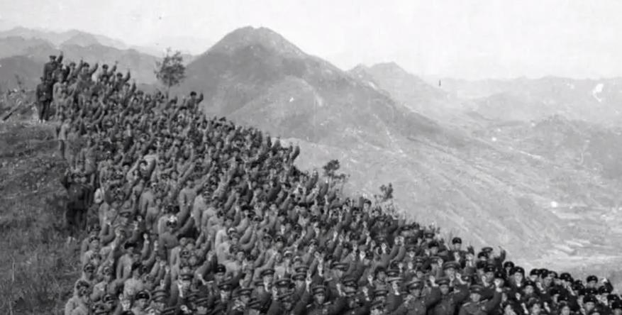 解放军113师简介,解放军113部队