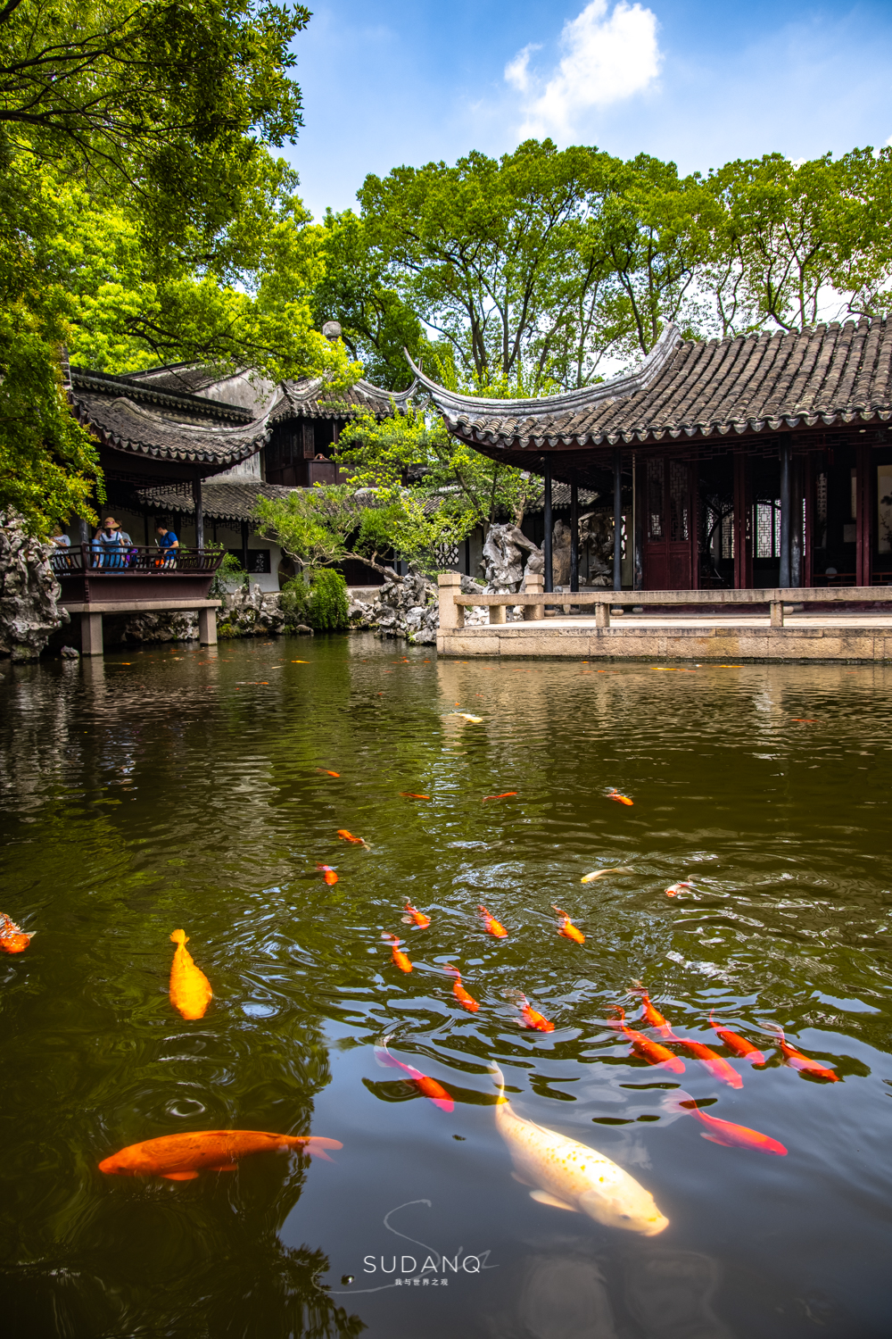 去苏州同里古镇游玩的小景点,去苏州同里古镇旅游攻略