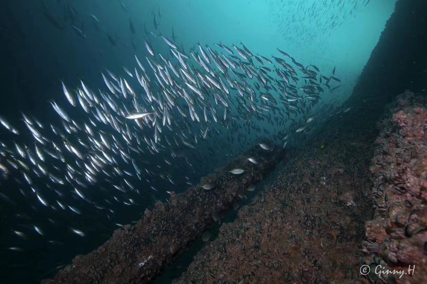 潜水的知识结构图,潜水必考知识