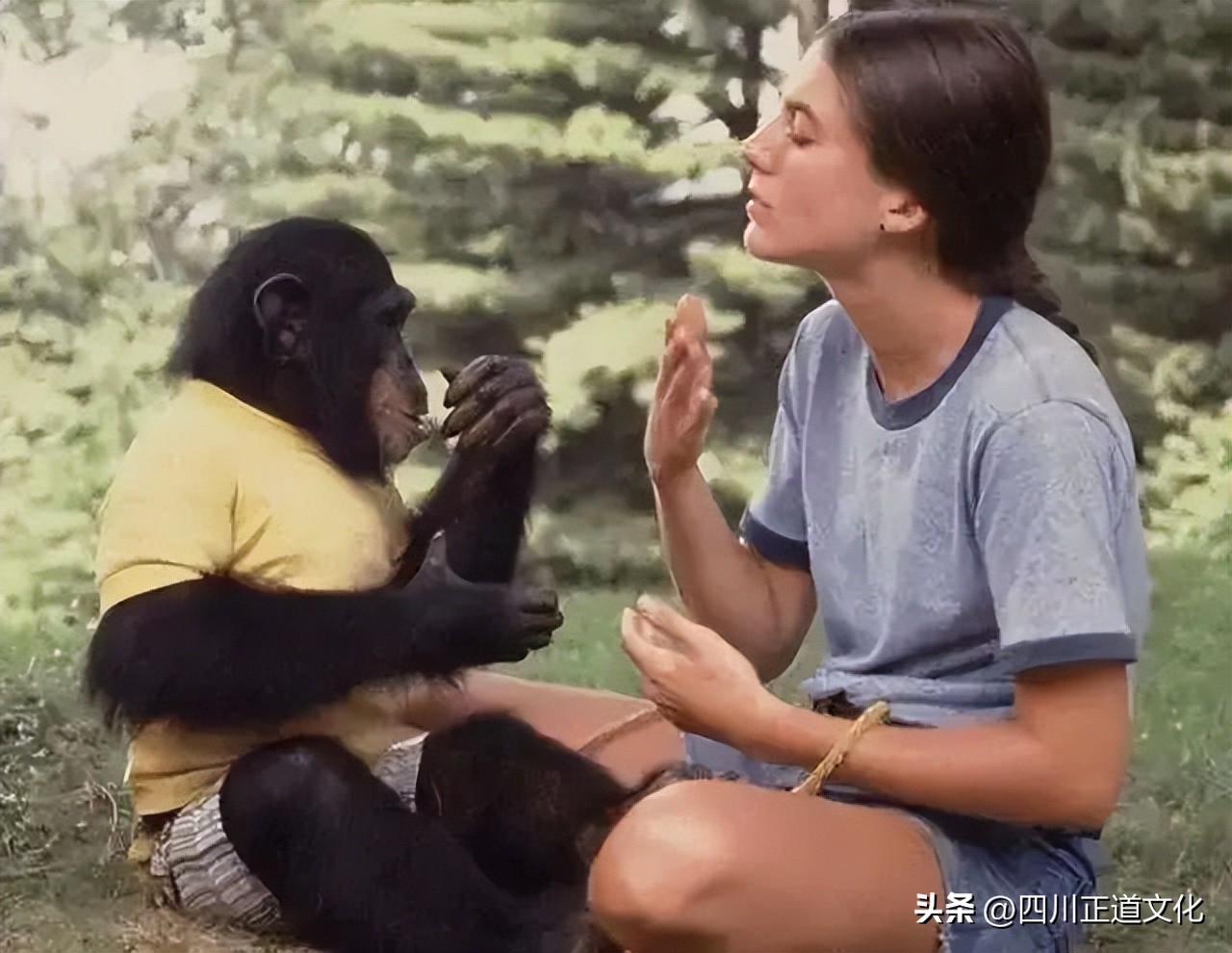 苏联人猿实验出来的毛孩,苏联人猿实验最后的女性都怎么了