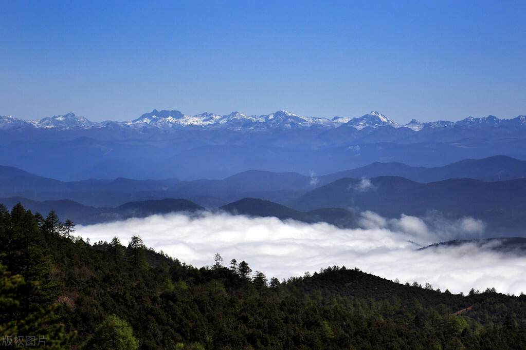 阴囊潮湿严重，一泻千里，往往阴虚湿重，试试这样搞定