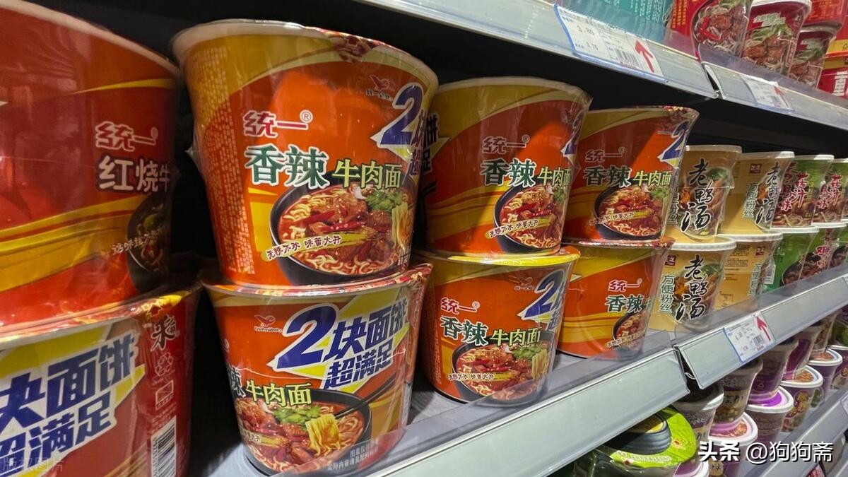 从底层开始小说,底层生活小说全集