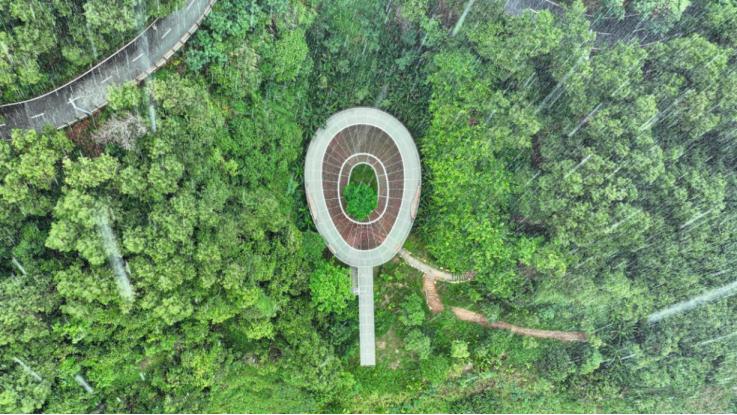 光明旅游攻略大全集,光明一日游必去的地方