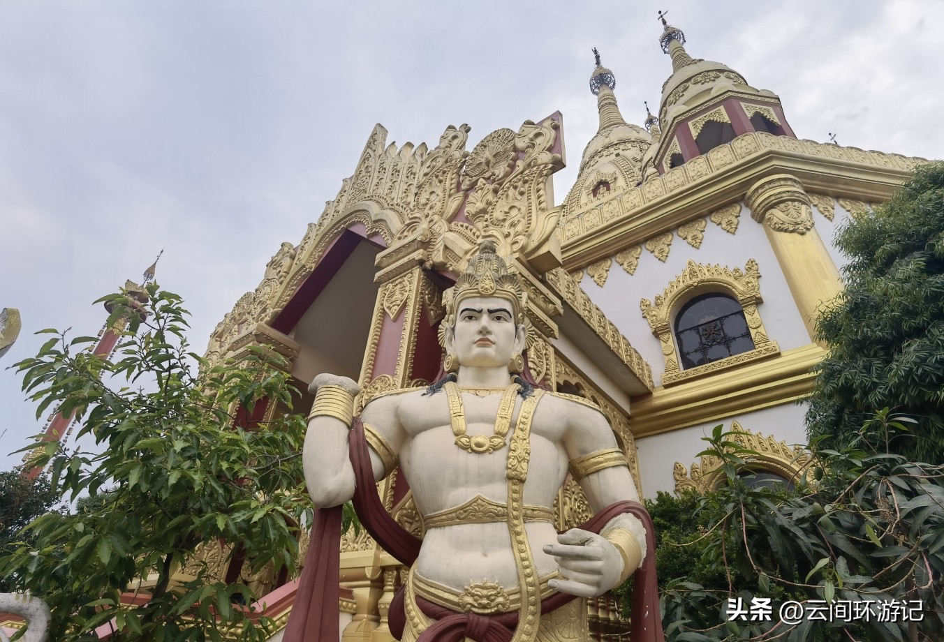 缇庝附寰峰畯娴极涔嬫梾,婕父寰峰畯