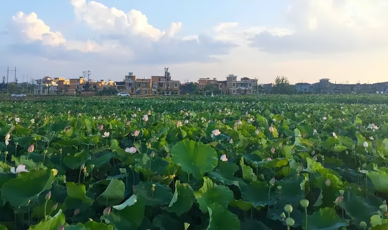 10个极具设计感的乡村改造,乡村创意改造景观